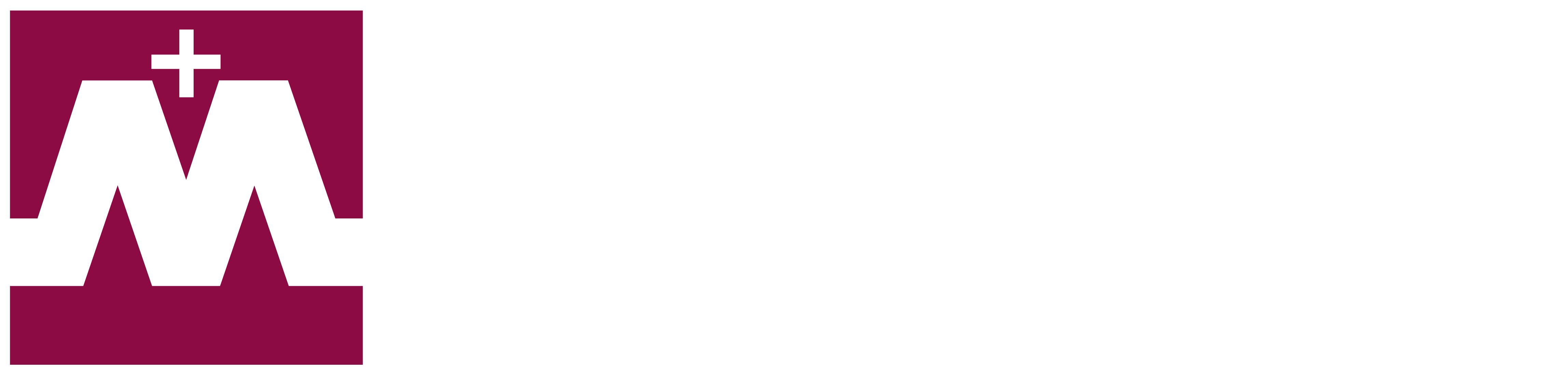 Mary College at ASU